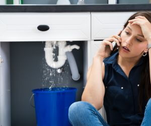 About Emergency plumbing pros Brohman, MI